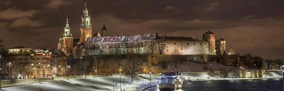 Wawel Royal Castle at night